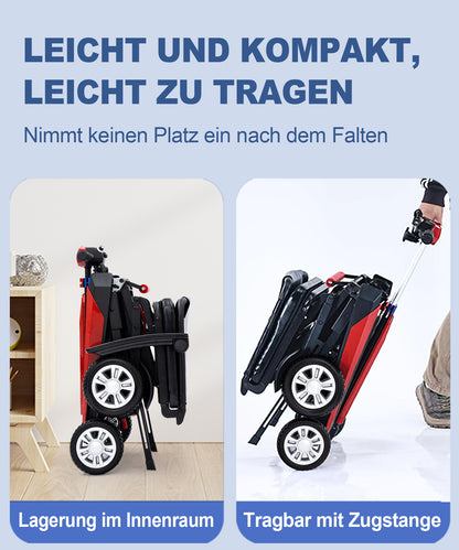 Invvqu Z01 Faltbarer Elektromobil– 25 km Reichweite, 12Ah Akku
